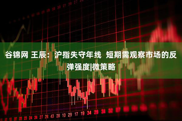 谷锦网 王辰：沪指失守年线  短期需观察市场的反弹强度|微策略