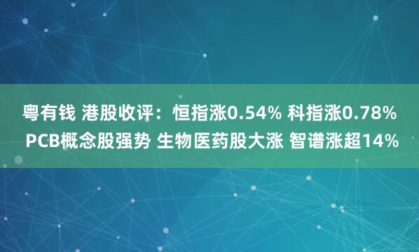 粤有钱 港股收评：恒指涨0.54% 科指涨0.78% PCB概念股强势 生物医药股大涨 智谱涨超14%